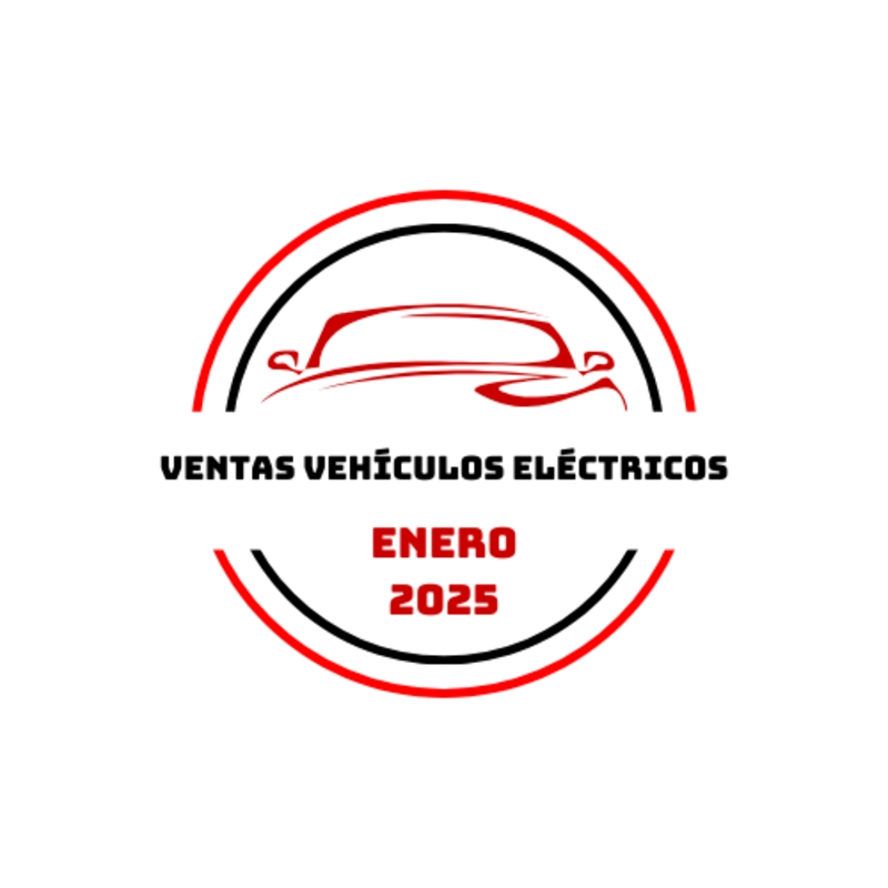 COCHE ELÉCTRICO MÁS VENDIDO EN EL MES DE ENERO DE 2025